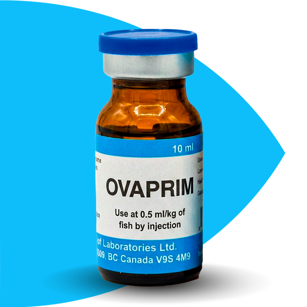 OVAPRIM (SYNDEL)