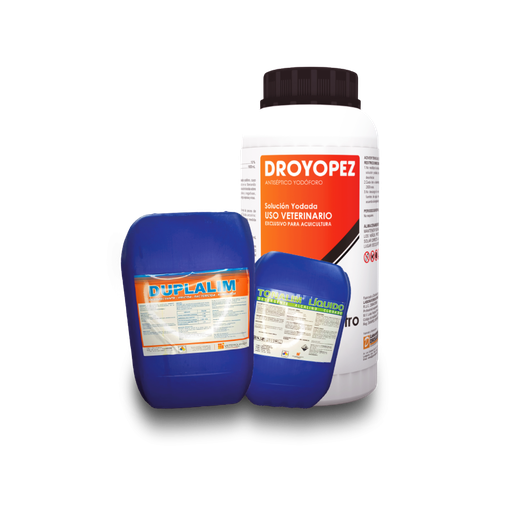 [COMB03] COMBO ECLOSERÍA