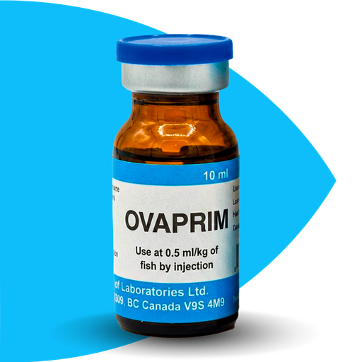 [OVA] OVAPRIM (SYNDEL)