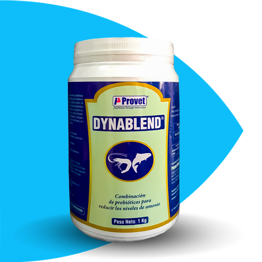 [DYNABLEND] DYNABLEND®