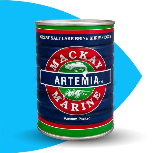 [ARTAZUL] Artemia lata azul