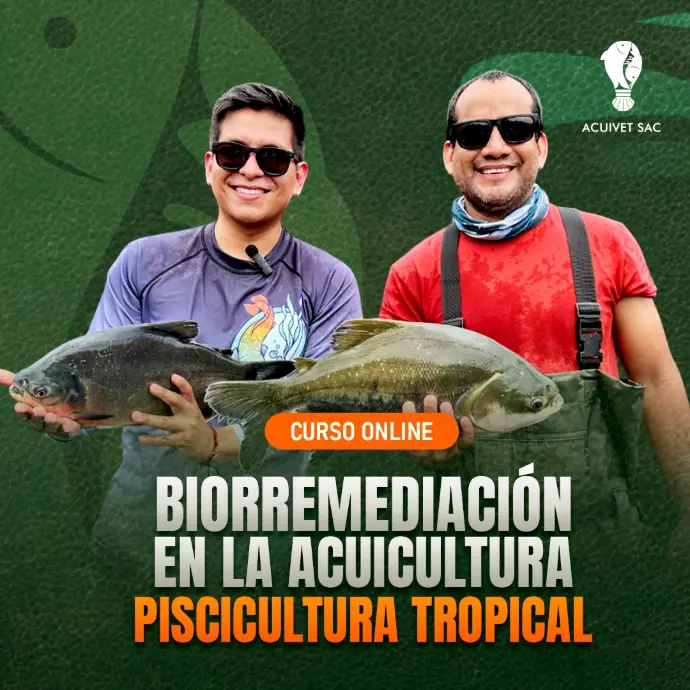 Biorremediación en acuicultura